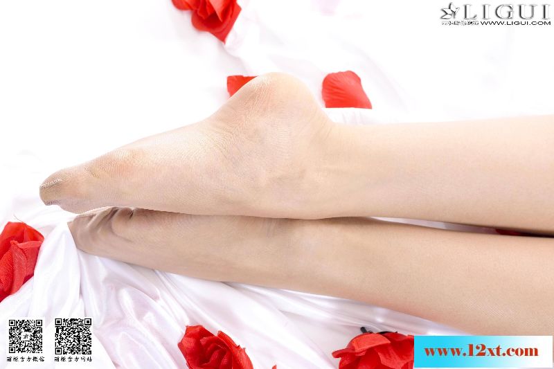 美腿美丝大合集23146P