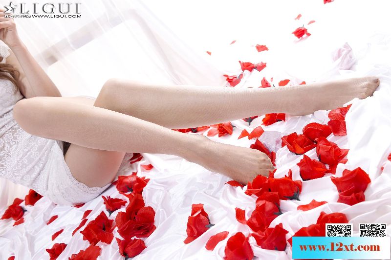 美腿美丝大合集23146P