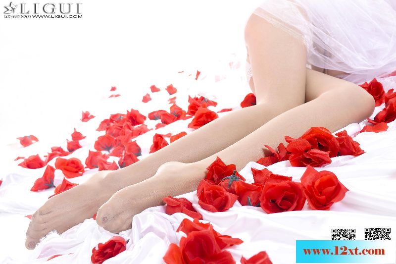 美腿美丝大合集23146P