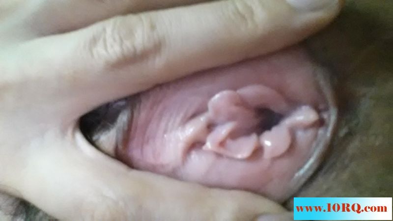 少妇给我发的极品花瓣B，绝对真实12P