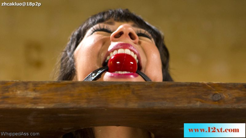 WhippedAss——女王莫娜严刑折磨亚裔女奴玛丽63P