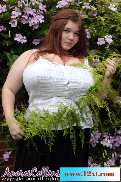 花园里的一双八尺大乳