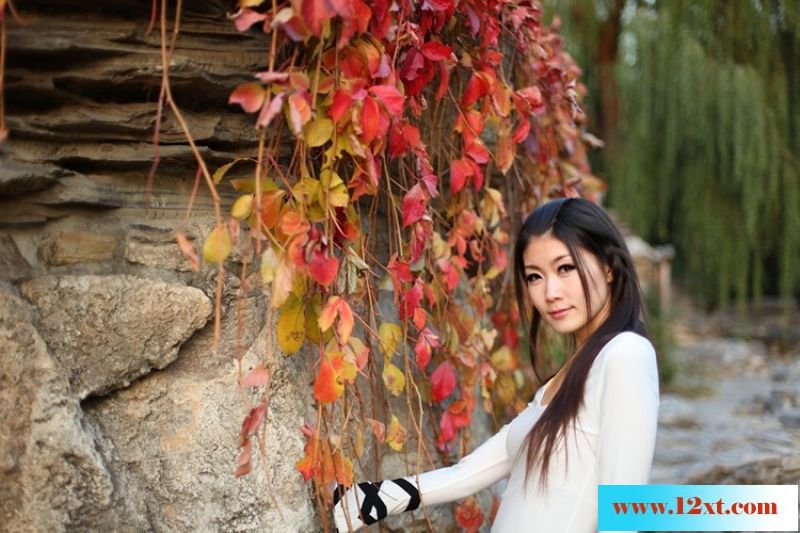 邂逅高挑美女19P