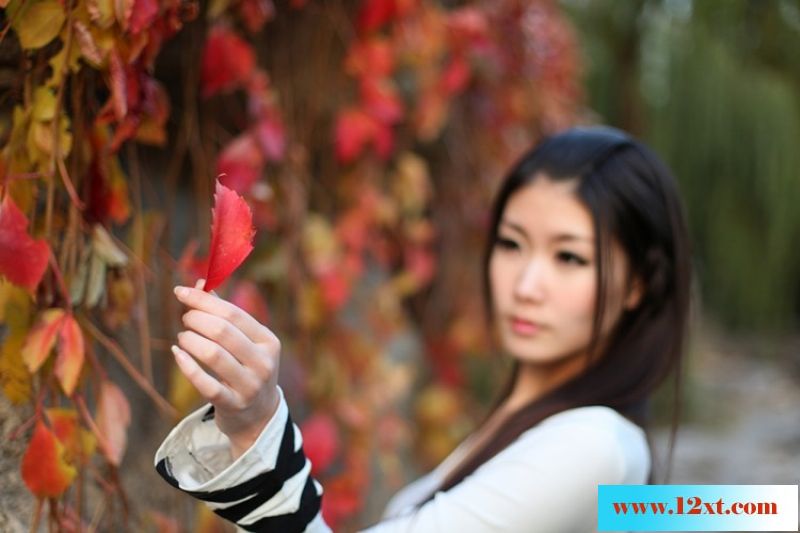 邂逅高挑美女19P
