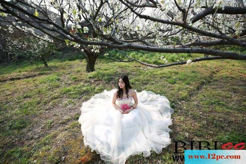 荒地上的婚纱美人&nbsp;&nbsp;【12P】