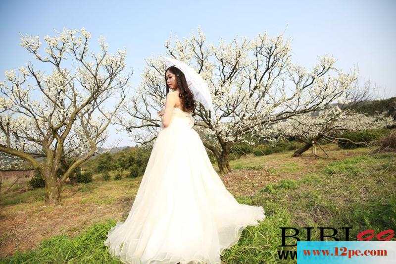荒地上的婚纱美人&nbsp;&nbsp;【12P】
