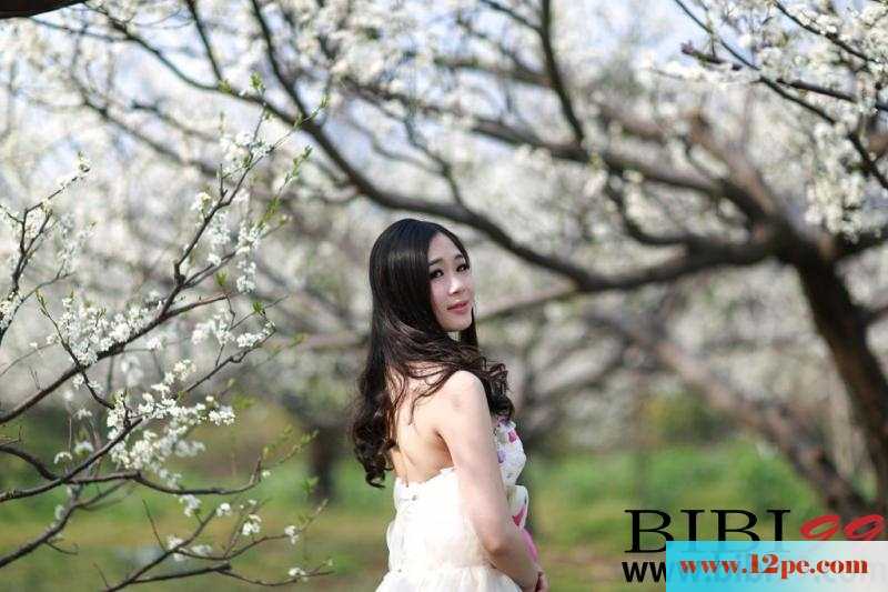 荒地上的婚纱美人&nbsp;&nbsp;【12P】