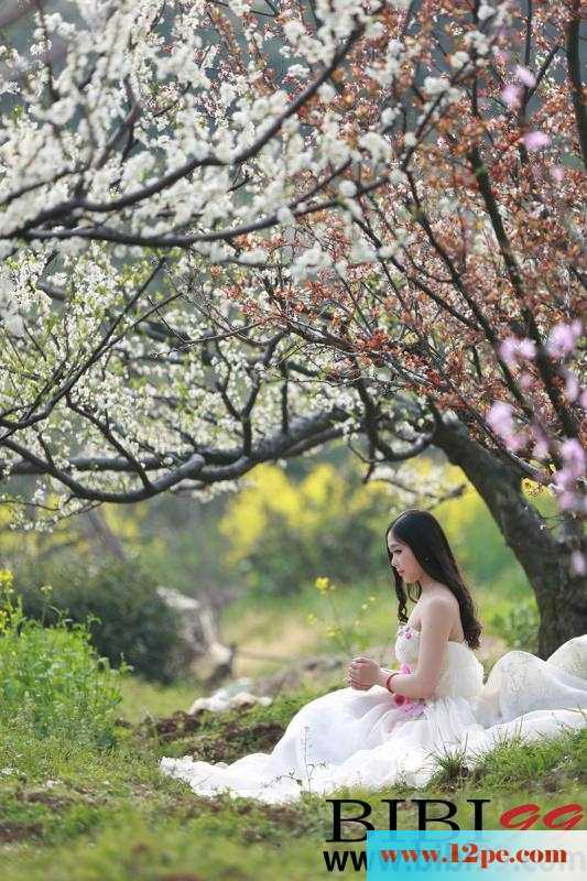荒地上的婚纱美人&nbsp;&nbsp;【12P】