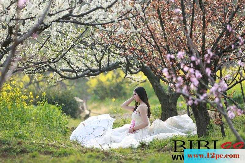 荒地上的婚纱美人&nbsp;&nbsp;【12P】