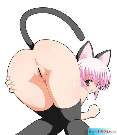 (CG)各种爆乳各种诱惑(18P)
