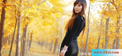 新晋白皙美腿美女(11P)