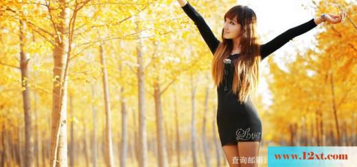 新晋白皙美腿美女(11P)