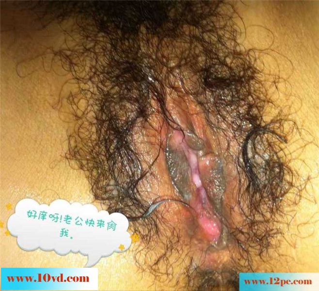 小母狗精液便肉器(11P)