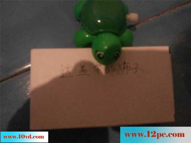 性福的小乌龟-老婆情趣随拍(27P)