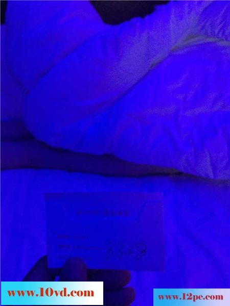 自拍，与已婚女同事在高级酒店一夜激情(15P)