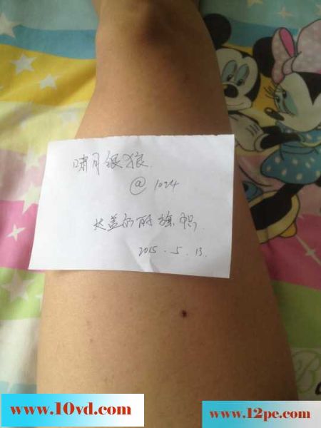 米老鼠和啸月银狼的故事(13P)