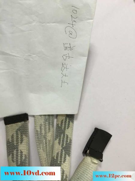 骚逼前女友没脱完就开干(14P)