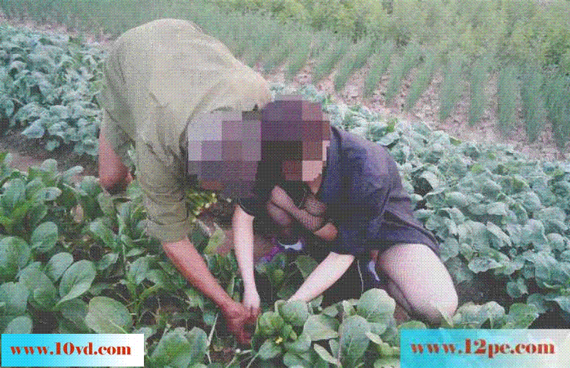 骚妻淫乐外拍史动态版：妇唱夫随摄天下之户外