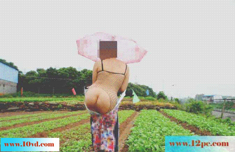 骚妻淫乐外拍史动态版：妇唱夫随摄天下之户外