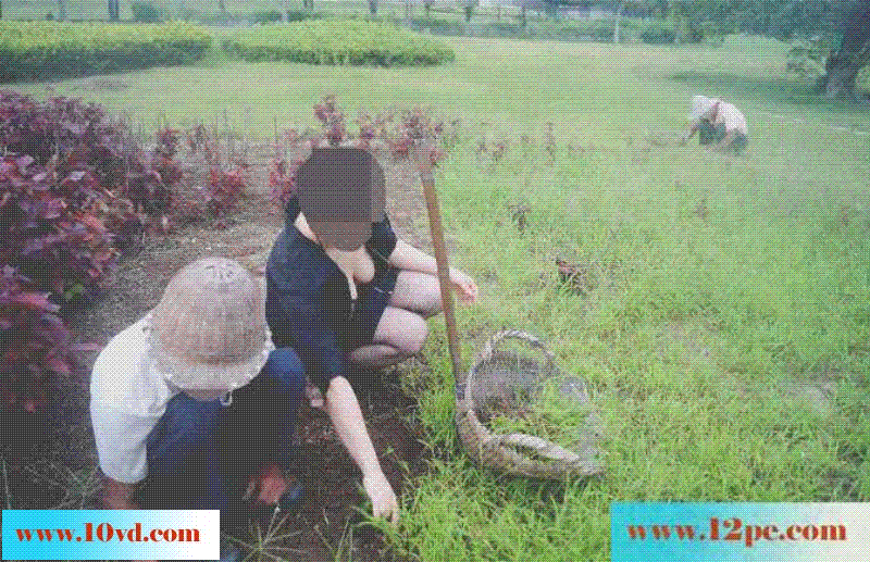 骚妻淫乐外拍史动态版：妇唱夫随摄天下之户外