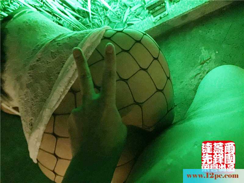 绿光下的黑网袜，哥哥们心动了没(11P)