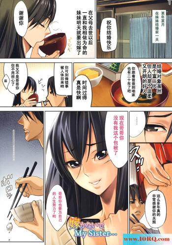 (彩漫中文)结婚的前一天(12P)