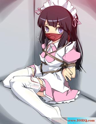 (CG)吊起来的骚婊(16P)