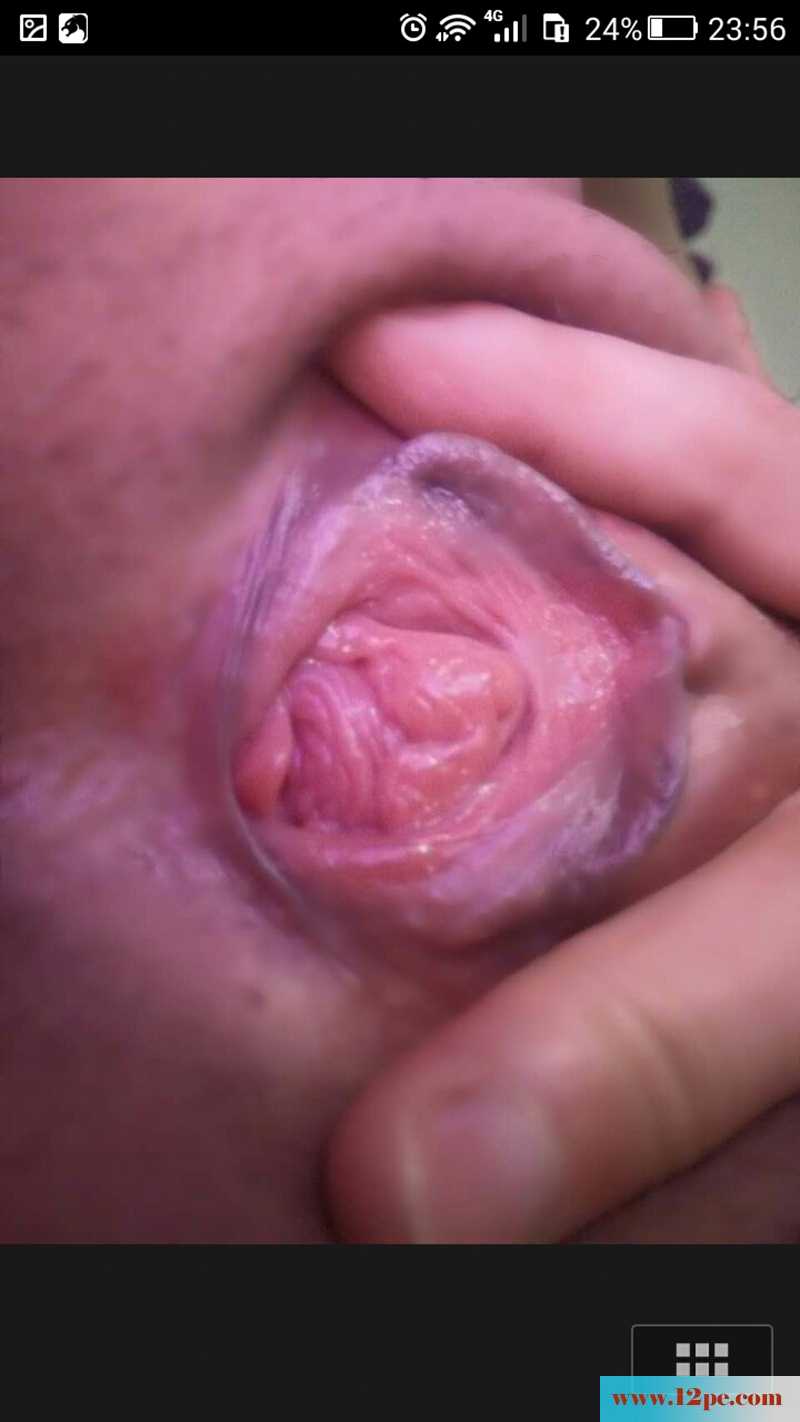 给毛毛修剪个造型(10P)