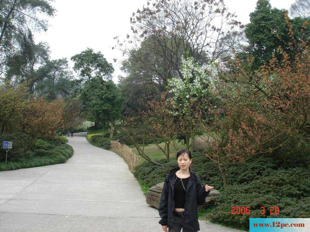 26部国产少妇自拍套图，部部经典(86P)