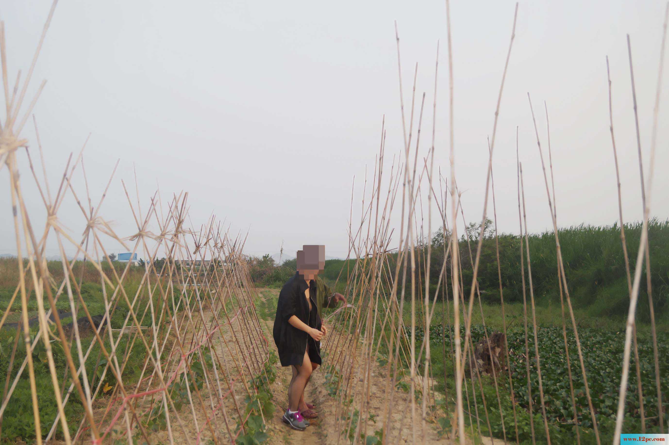 骚妻外拍学习篇完善版：妇唱夫随摄天下之农林