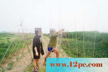 骚妻外拍学习篇完善版：妇唱夫随摄天下之农林