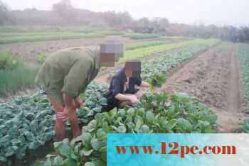 骚妻外拍学习篇完善版：妇唱夫随摄天下之农林
