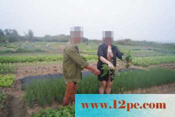 骚妻外拍学习篇完善版：妇唱夫随摄天下之农林