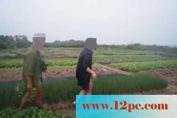 骚妻外拍学习篇完善版：妇唱夫随摄天下之农林