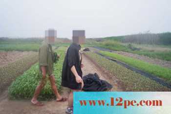 骚妻外拍学习篇完善版：妇唱夫随摄天下之农林