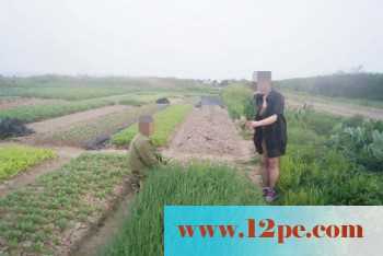 骚妻外拍学习篇完善版：妇唱夫随摄天下之农林