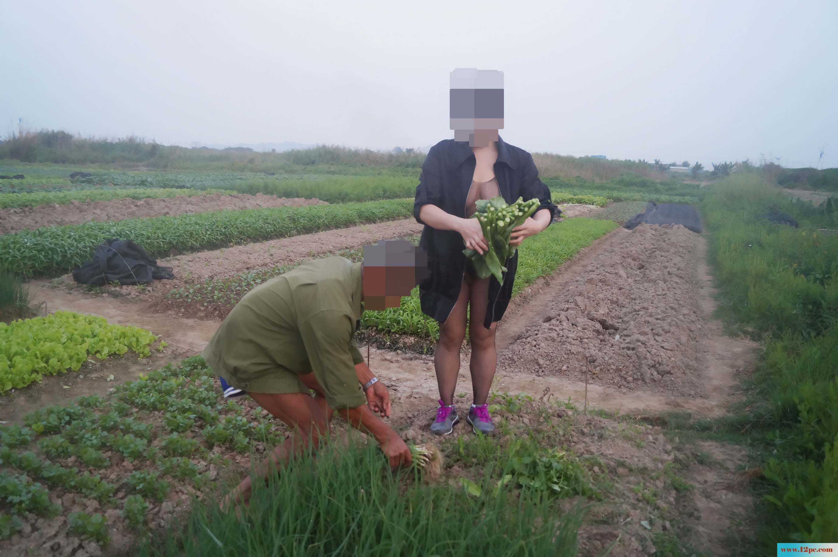 骚妻外拍学习篇完善版：妇唱夫随摄天下之农林