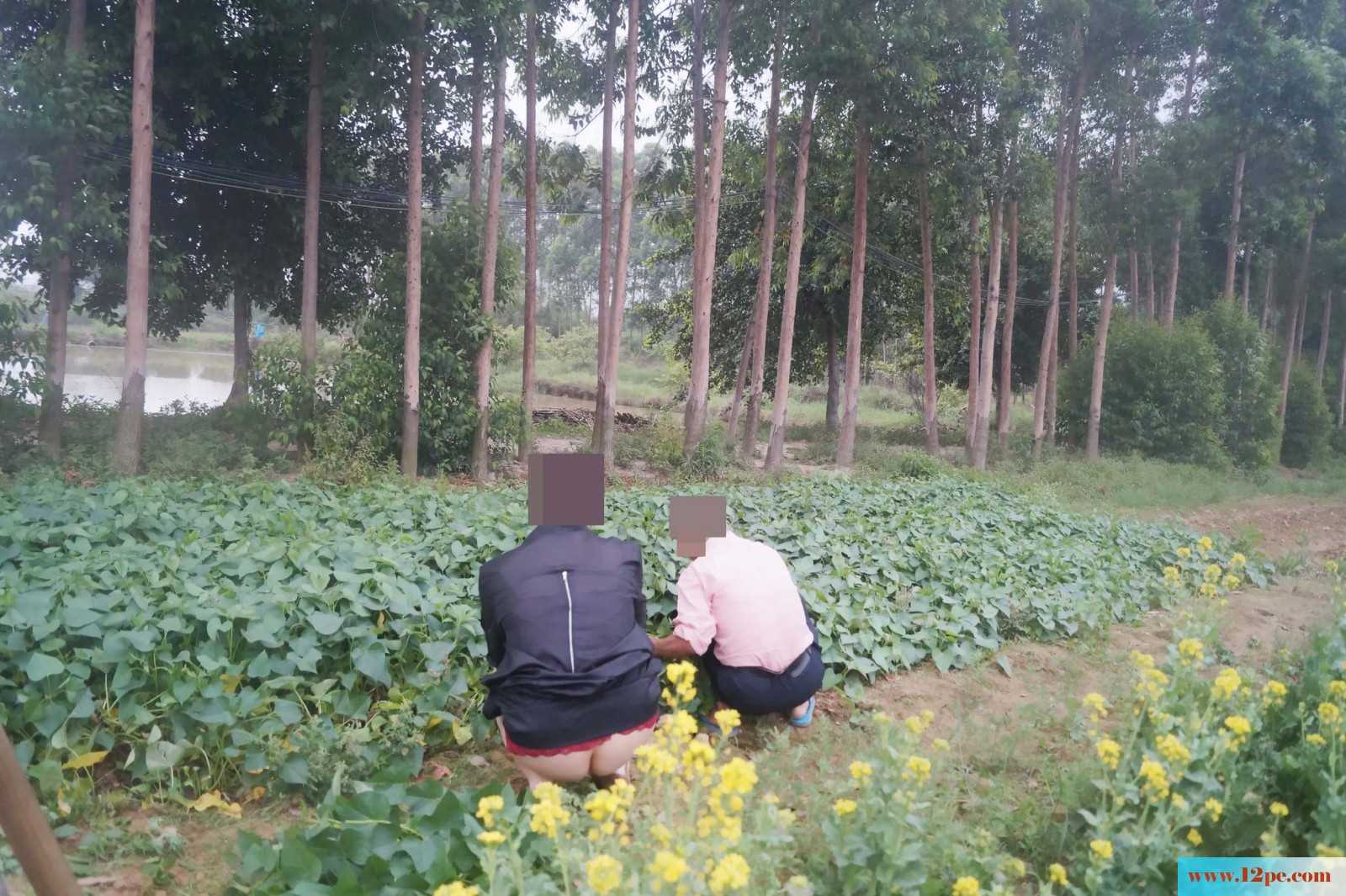 骚妻外拍学习篇完善版：妇唱夫随摄天下之农林
