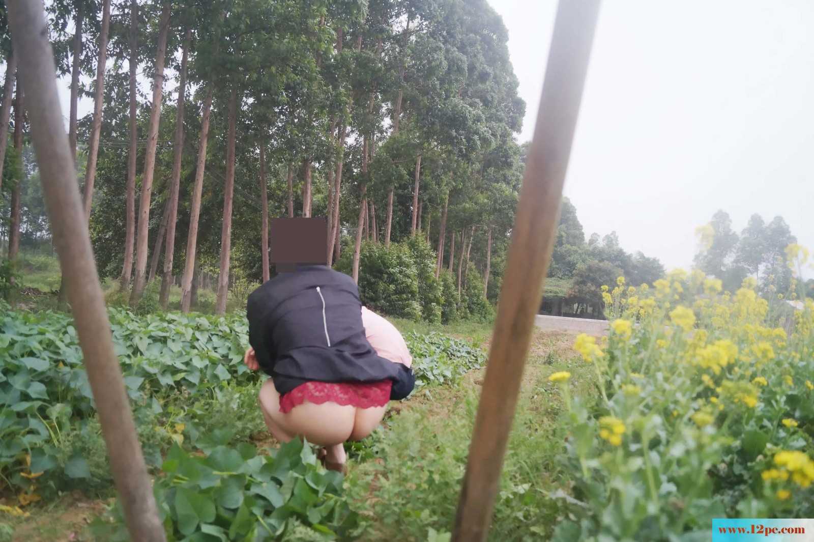 骚妻外拍学习篇完善版：妇唱夫随摄天下之农林