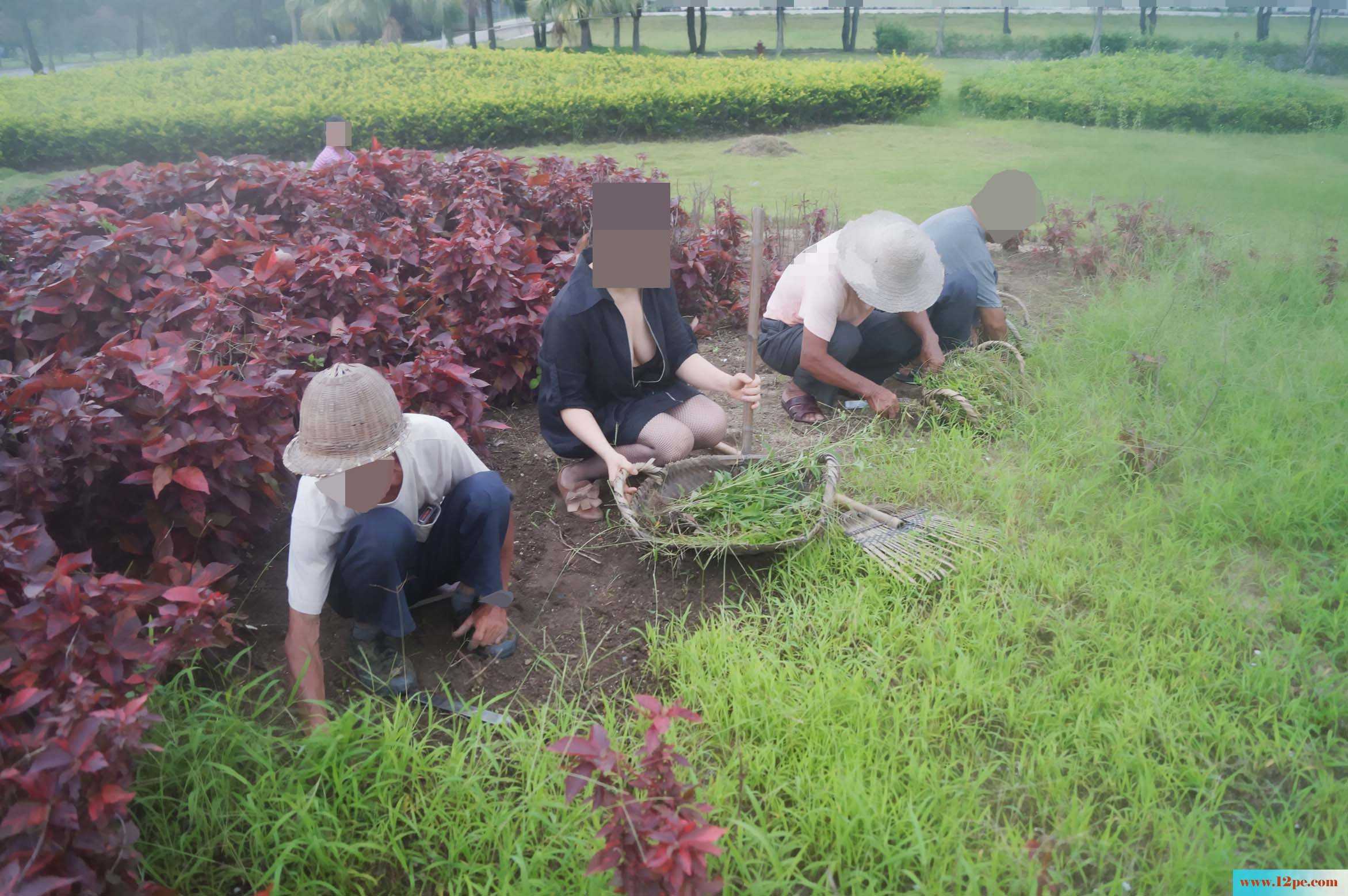 骚妻外拍学习篇完善版：妇唱夫随摄天下之农林