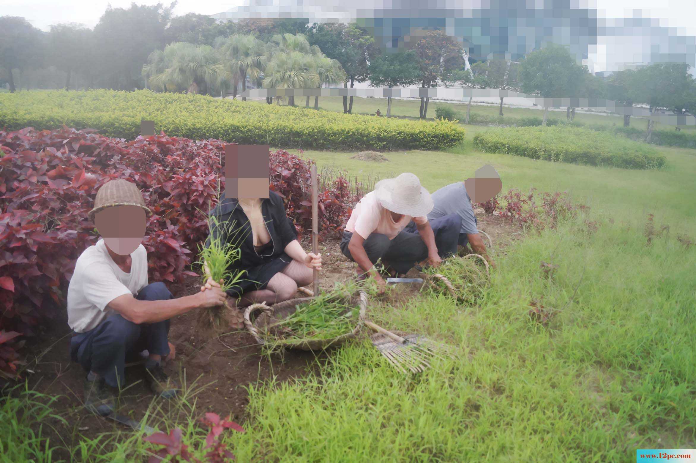 骚妻外拍学习篇完善版：妇唱夫随摄天下之农林