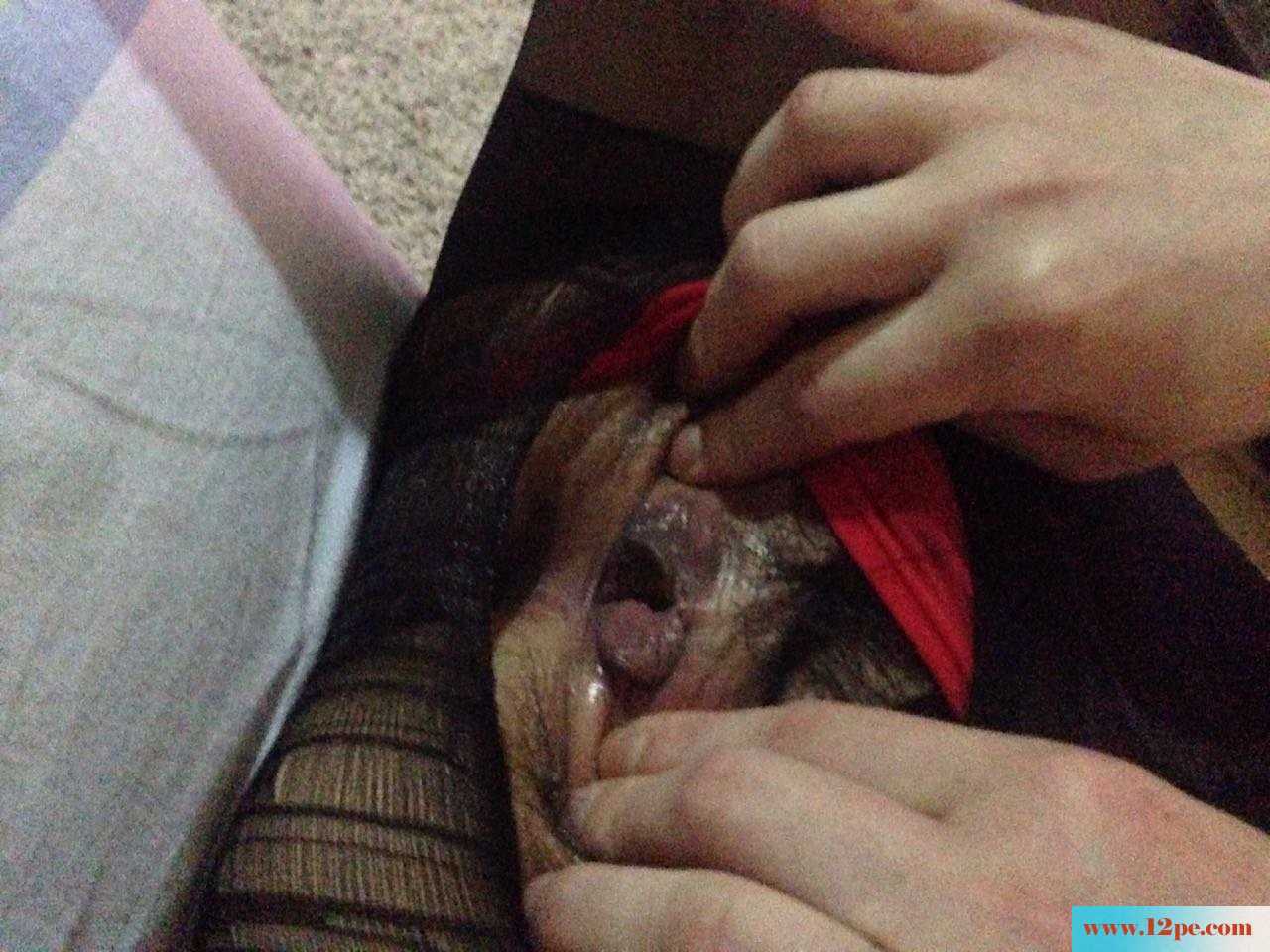 骚得掉渣的少妇鸡(10P)