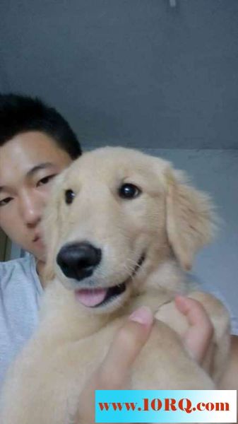 05-28潍坊男妓马洪春【17p】