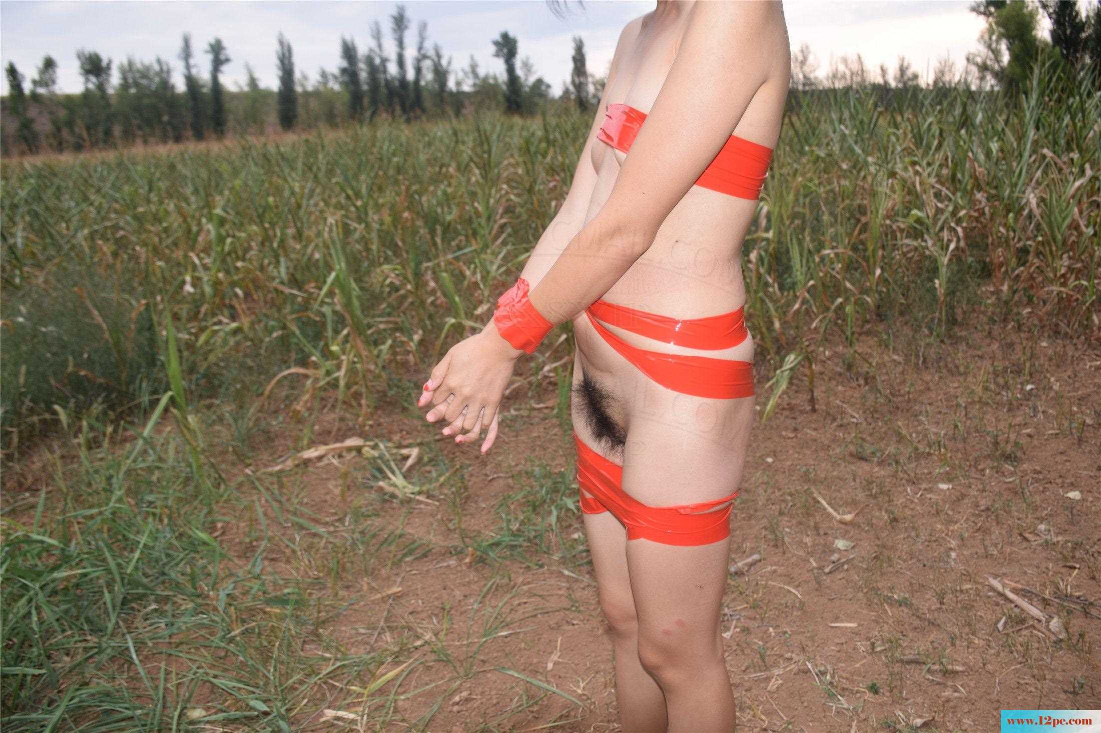 静电胶带捆缚(25P)