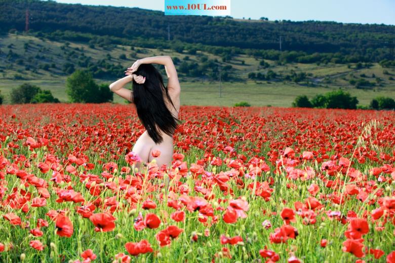 花中仙子-(20P)